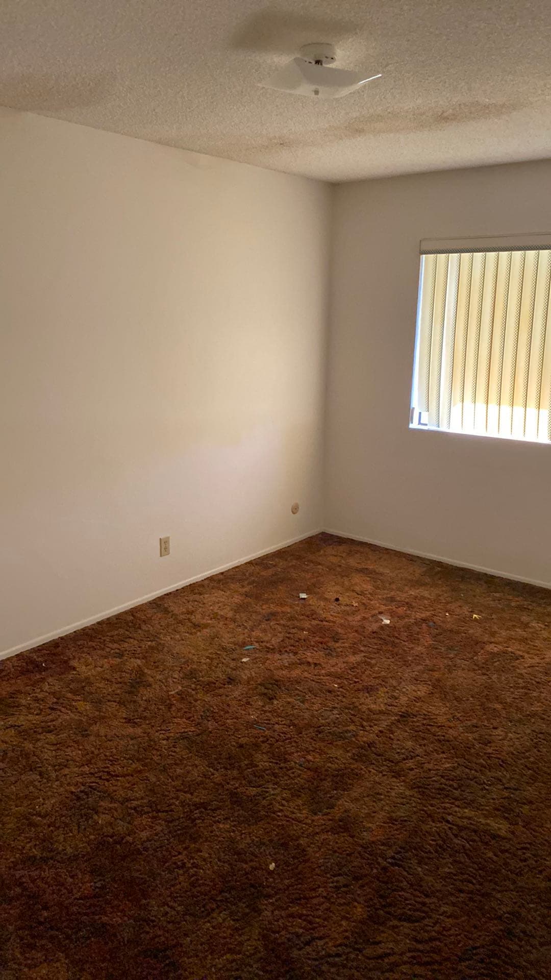 Home we purchased as-is in Manteca CA