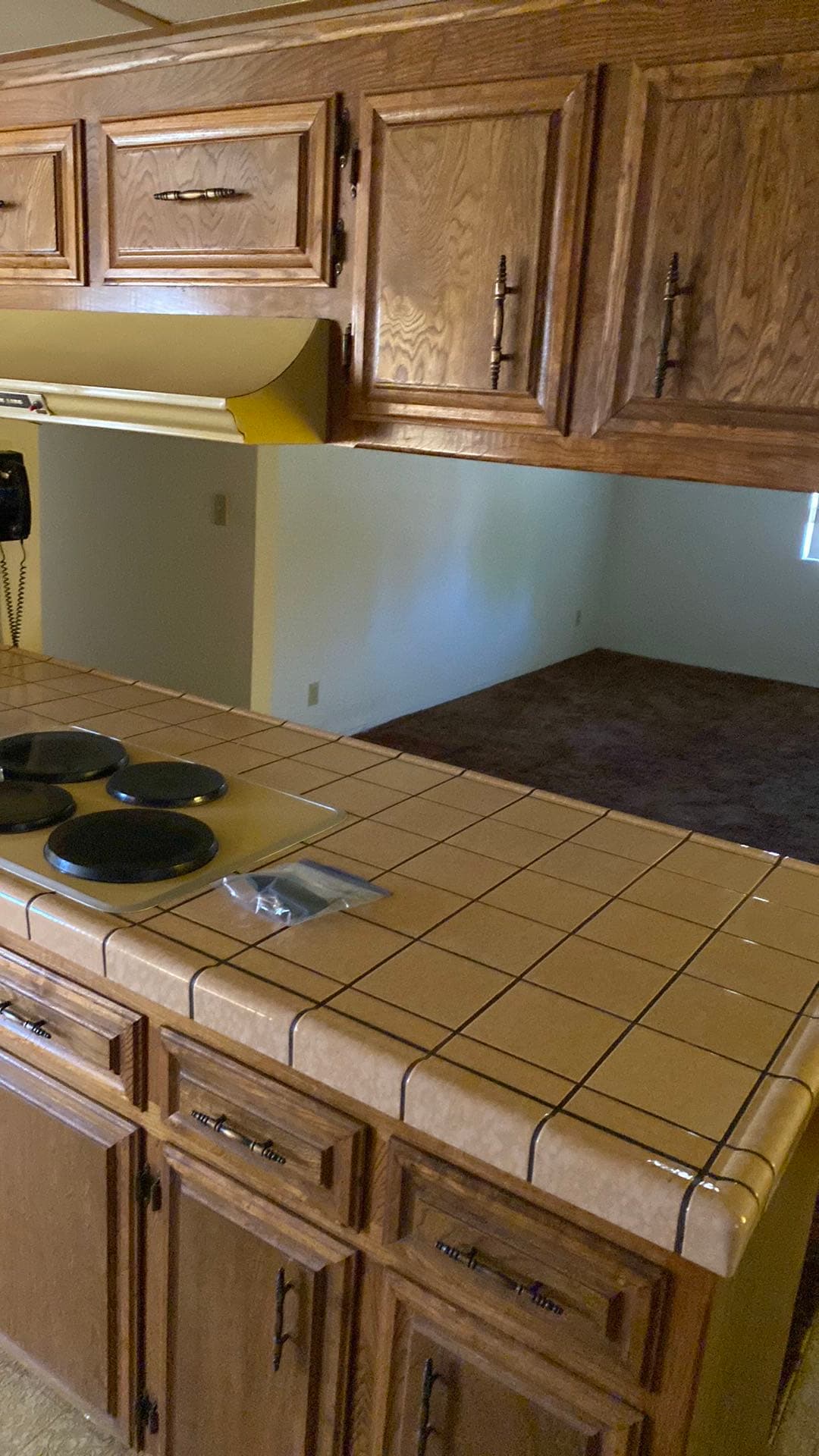 Home we purchased as-is in Roseville CA