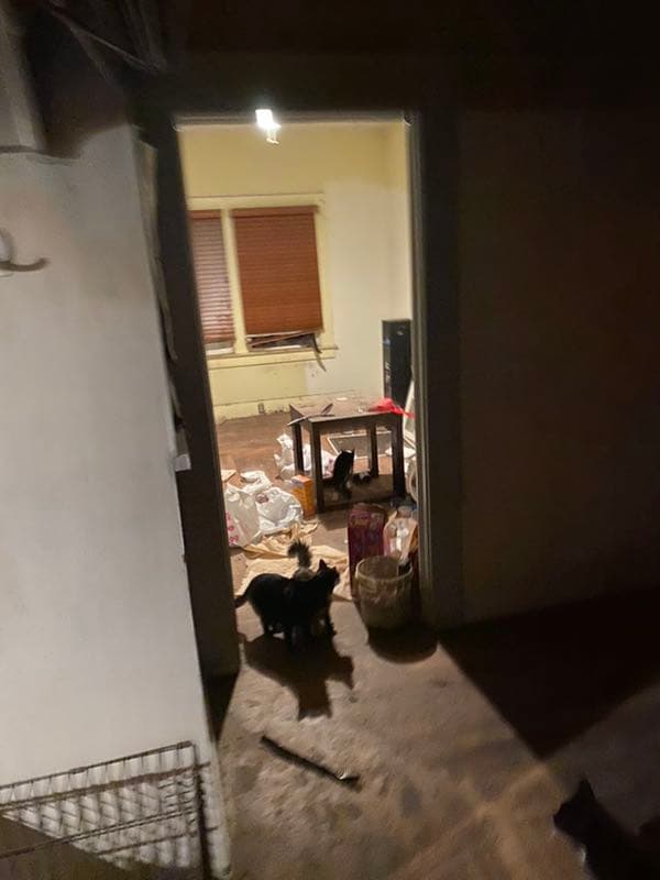 Property we purchased as-is in Fresno CA